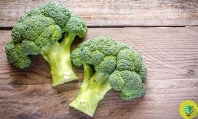 Broccoli to prevent arthritis and osteoarthritis
