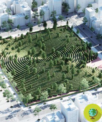 Le Parc de la Distance : le projet qui permet de rester distant et de renouer avec la nature en ville