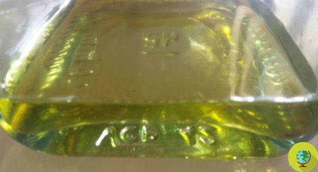 Aceite de oliva virgen extra: 3 cucharadas al día para prevenir tumores