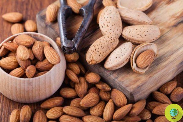 Almonds against diabetes: a green and also good remedy!