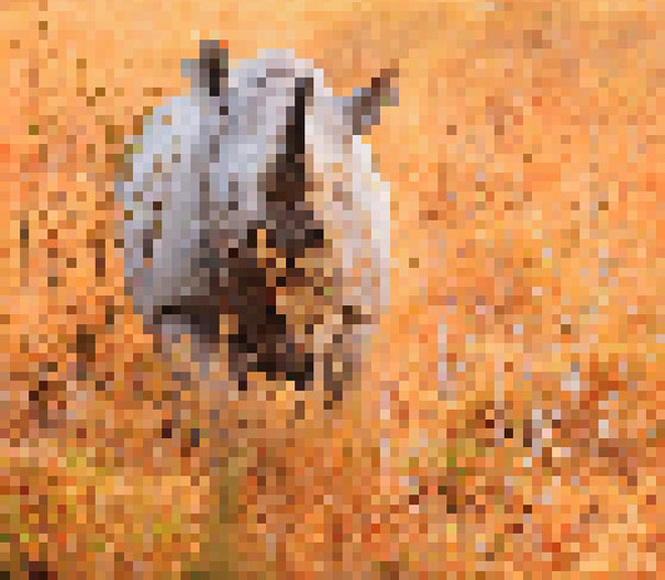 These photos are made up of as many pixels as there are still living animals of that species