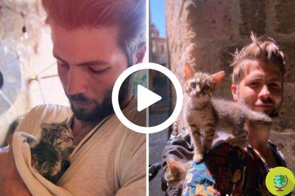 L'artiste qui a sauvé deux chatons abandonnés par leur mère