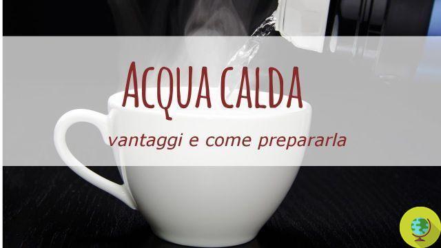 The advantages of drinking hot water and how to prepare it (VIDEO)