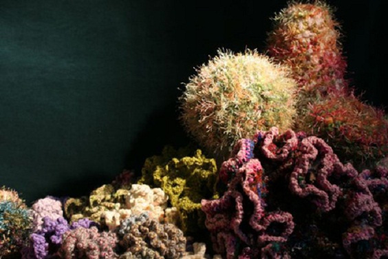 Ganchillo: Arrecifes de coral a crochet para combatir la decoloración
