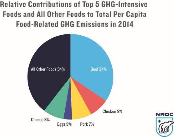 Disminución del consumo de carne en un 19%: así EE.UU. ha ahorrado las emisiones de 39 millones de coches