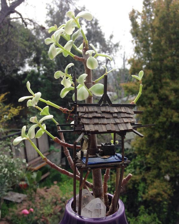 The wonderful miniature 'tree houses' for fairies (PHOTO)