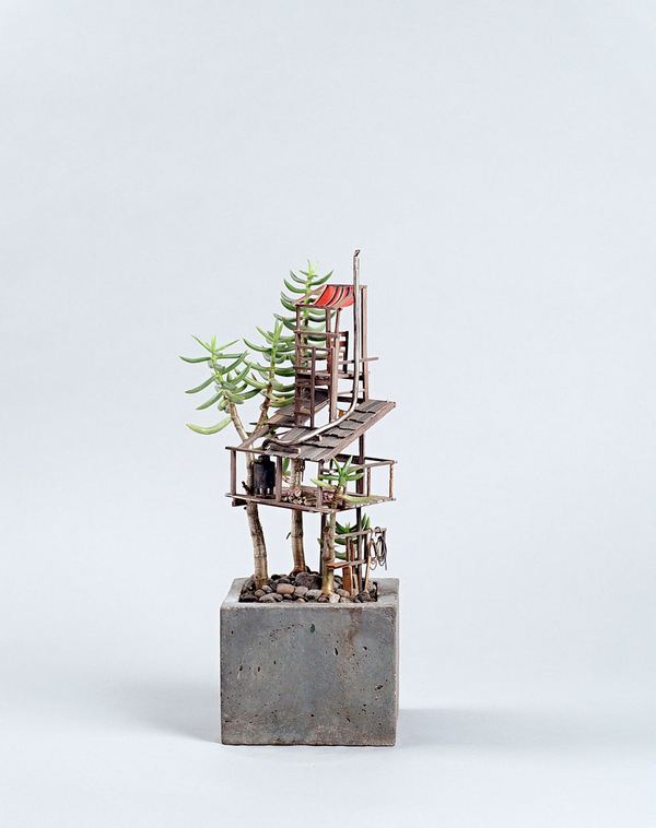 Las maravillosas 'casas del árbol' en miniatura para las hadas (FOTO)