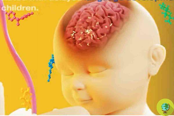 PFAS, agrotóxicos e produtos químicos: exposição na gravidez tem efeitos colaterais na fala das crianças