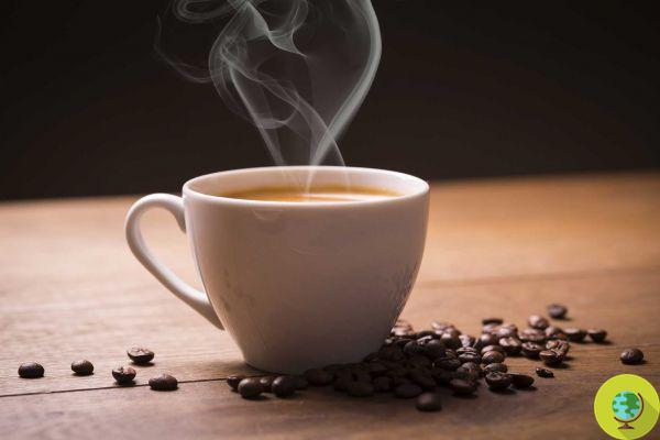 Coffee does not cause cancer