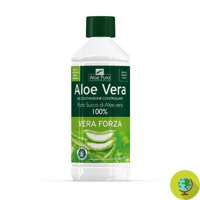20 utilisations fantastiques de l'Aloe Vera