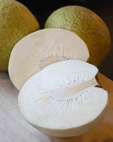 Superfood : Ulu, le fruit de l'arbre à pain va nourrir le monde ?