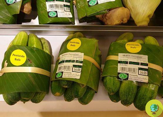 Goodbye plastic in the fruit and vegetable department: this supermarket has found the most natural way to replace it