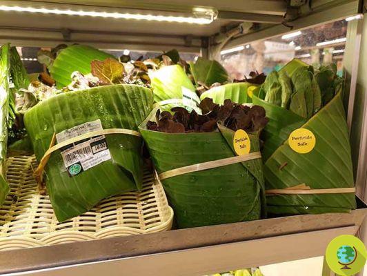 Goodbye plastic in the fruit and vegetable department: this supermarket has found the most natural way to replace it