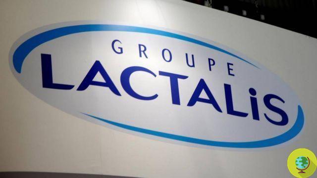 Salmonella em fórmula infantil na França: 35 bebês infectados e investigação contra Lactalis aberta