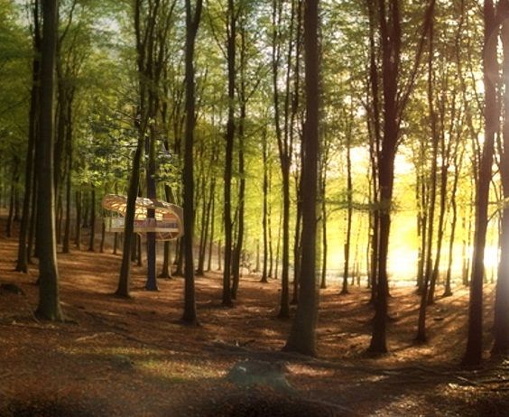 Èterra Samara: a casa na árvore de 5 estrelas suspensa nas florestas canadenses