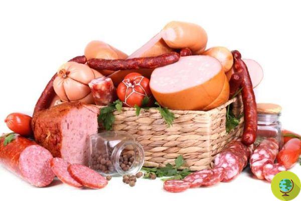 El salami y la carne procesada acortan la vida