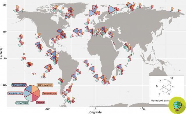 Mais de 5500 novos vírus de RNA descobertos nos oceanos ao redor do mundo