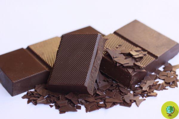 Chocolate is an ally of the heart and the circulatory system, according to science