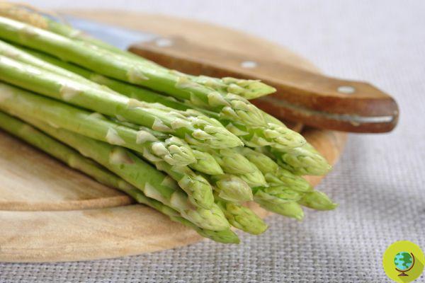 Asparagus time! How to store them to have them available all year round