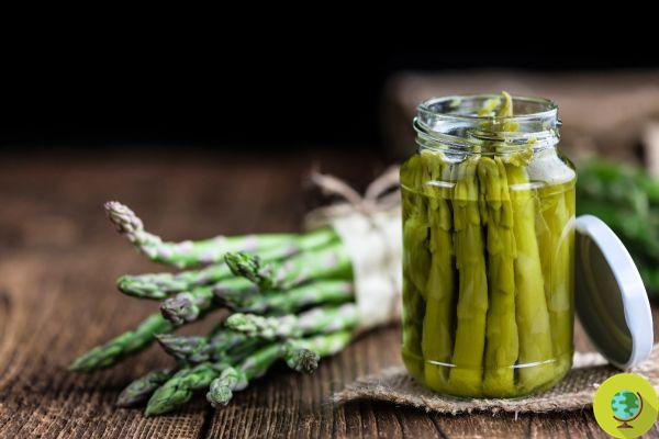Asparagus time! How to store them to have them available all year round