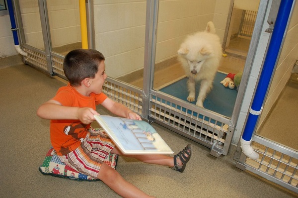 Crianças que lêem livros para cães para ajudá-los a encontrar um novo lar (FOTO e VÍDEO)