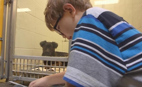 Niños que leen libros a perros para ayudarlos a encontrar un nuevo hogar (FOTO y VIDEO)