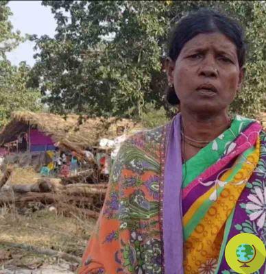 India, Adivasi women are brutally persecuted to defend ancestral lands from mining