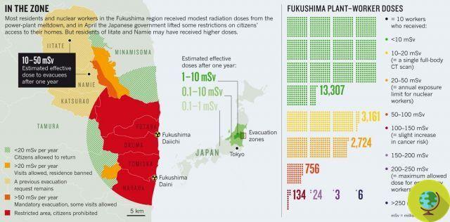 Fukushima: mayor riesgo de cáncer en la población - Alarma de la OMS y críticas de Greenpeace