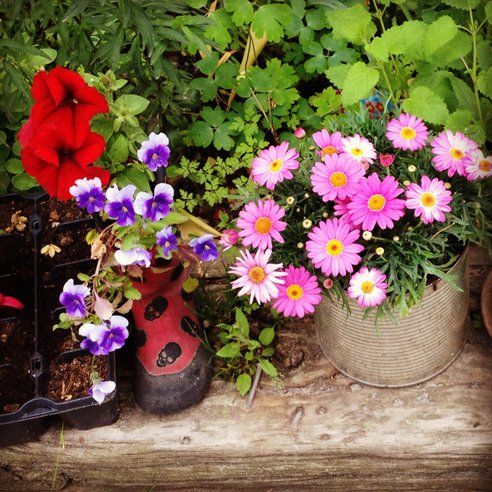 How to create vases and planters from the recycling of old rubber boots