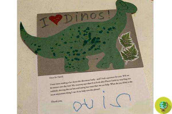 Sir David Attenborough répond à la question d'Otis, 4 ans, sur les dinosaures