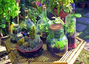 Creative recycling of glass jars: 8 easy-to-make ideas