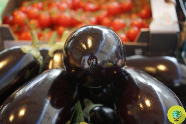 If after eating aubergines or peppers you have these symptoms, you may be intolerant to solanaceae