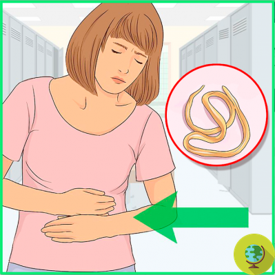 15 natural allies in the prevention and treatment of intestinal parasites