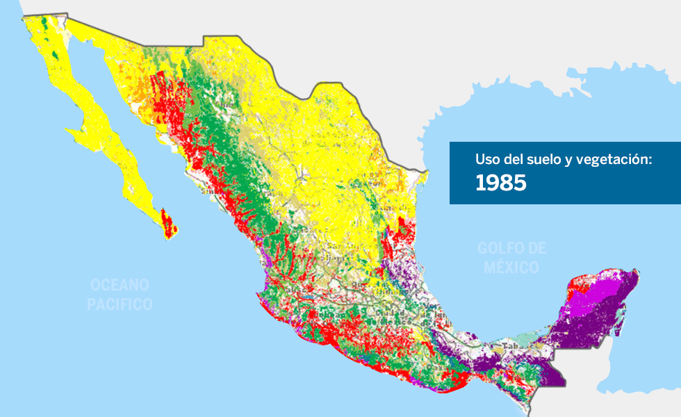 La Selva Lacandona está ficando sem oxigênio! Reduziu em 70% a selva verde do México, berço dos maias