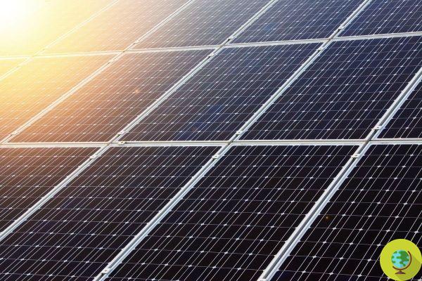 Invernaderos fotovoltaicos: aquí están los módulos SolarKey para 