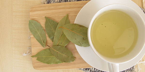 Bay leaves: 20 uses and benefits for health, hair and beauty