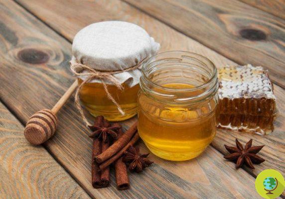 Cravos: aqui estão 10 remédios naturais para purificar a pele