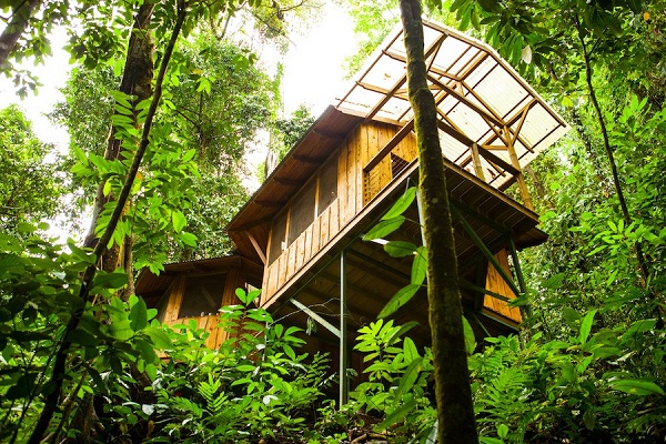 Finca Bellavista: uma comunidade sustentável no coração da floresta tropical (FOTO e VÍDEO)