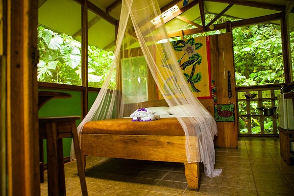 Finca Bellavista: a sustainable community in the heart of the rainforest (PHOTO and VIDEO)