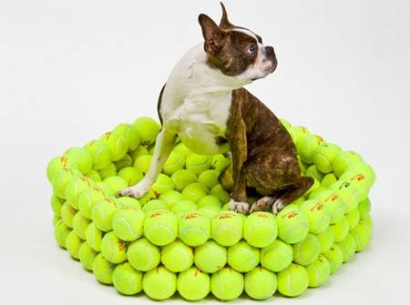Balles de tennis : 10 façons de les recycler de manière créative