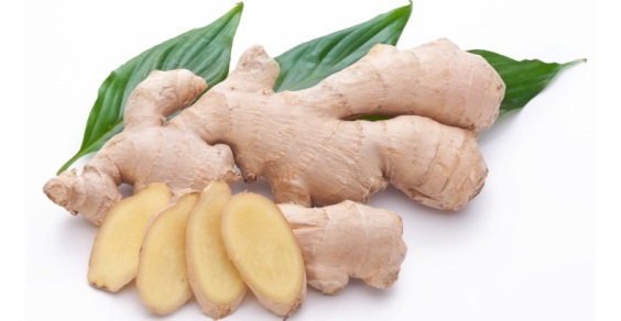 How to grow potted ginger to have it available for free all year round