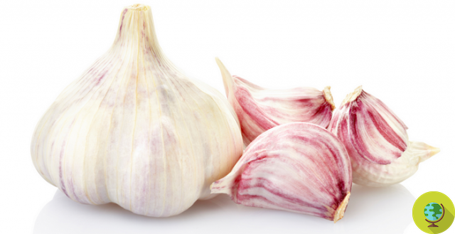 How to take raw garlic without compromising your breath
