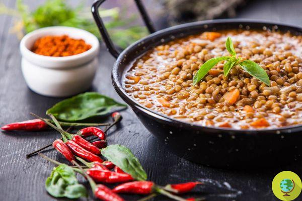 How to cook lentils on New Year's Eve: 10 delicious vegan recipes without cotechino and zampone