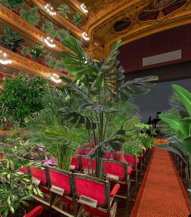 Na época do coronavírus, um show em Barcelona apenas para plantas: na primeira fila para ouvir 'I Crisantemi' de Puccini
