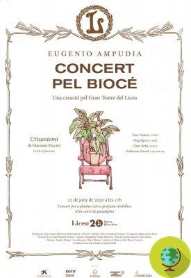 At the time of the coronavirus a concert in Barcelona for plants only: in the front row to listen to 'I Crisantemi' by Puccini