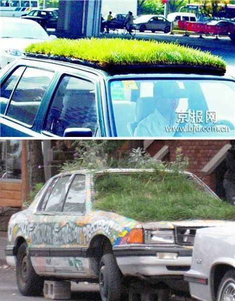 The 10 most bizarre green roofs