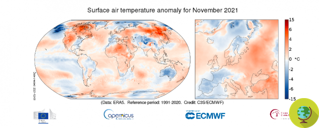 Températures record : nous venons de vivre le cinquième mois de novembre le plus chaud jamais enregistré dans le monde