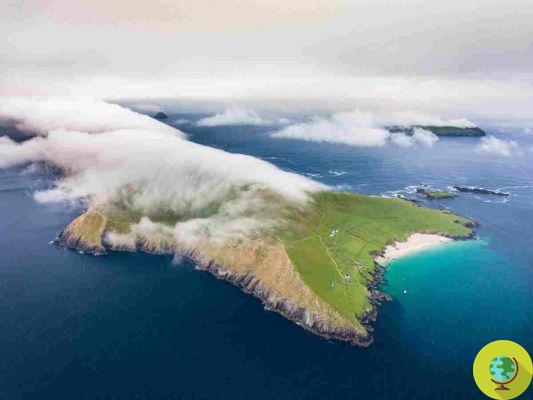 AAA: casal de guardiões procurados para esta remota ilha da Irlanda