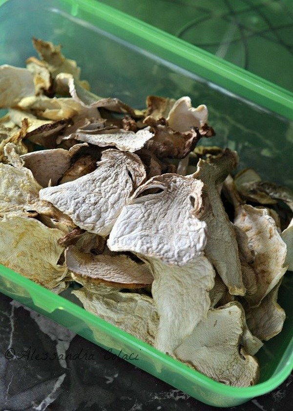 Cogumelos Porcini: 5 maneiras de mantê-los durante todo o ano