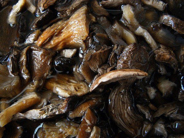 Cogumelos Porcini: 5 maneiras de mantê-los durante todo o ano